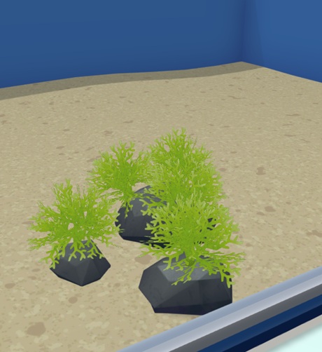 Close-up van Branching Sponge Weed op een Kleine Steen in een Aquarium. De Plant bestaad uit diverse groene 'plukjes' van Algen, die zich vertakken.