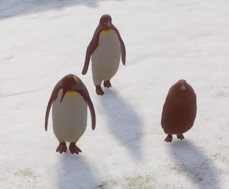 Baby Koningspinguïn gaat al met de volwassenen op stap.