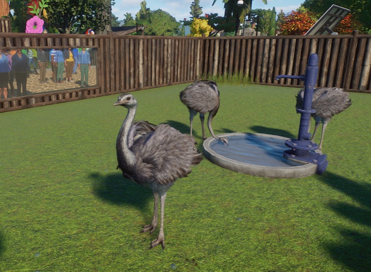 Drie Nandoes in hun Verblijf. Eén Nandoe loopt naar links; de twee anderen drinken rechts bij de Drinkplaats. Achteraan staan de houten Verblijfsmuren, met links een kijkvenster. Bezoekers bekijken de Vogels door het venster.