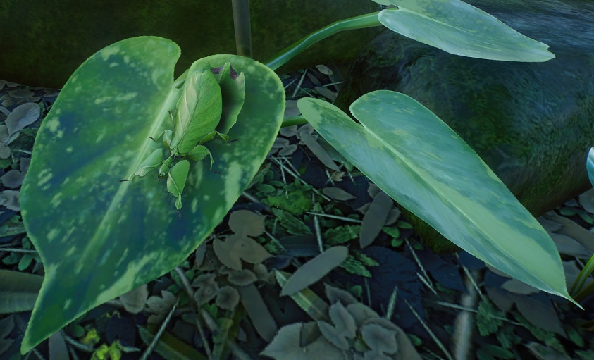 Het Wandelend Blad is een topper in camouflage.