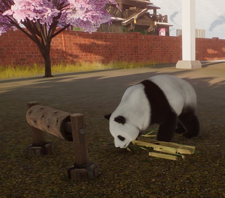 Zolang deze rolfeeder gevuld blijft, hoor je de Panda niet klagen.