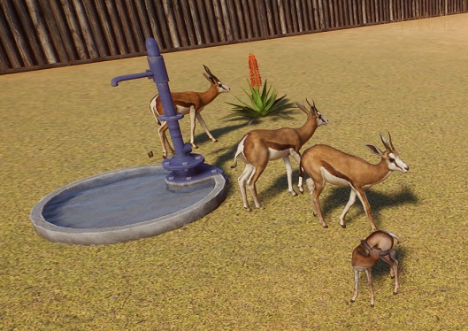 In Het Ware Leven drinken Springbokken niet... in Planet Zoo wél.