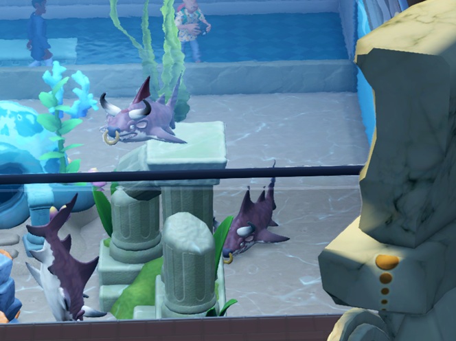 Een close-up van een Aquarium met drie Bull Sharks. Eén Haai zwemt rond, een andere duikt naar de bodem en een derde zwemt tegen de bodem aan. De haaien hebben een ring door hun 'neus', en hoorns.