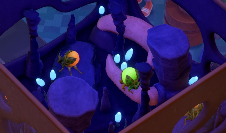 Vier Fart Bugs in hun Terrarium. Van de linkse Kever is slechts een miniem stukje van zijn gekleurde achterlijf zichtbaar. Ook de rechtse Kever is maar gedeeltelijk te zien. Beide middelste Kevers hebben een vergroot achterlijf. Bij de linkse Kever is het achterlijf oranje; de rechtse Kever heeft een groen achterlijf.