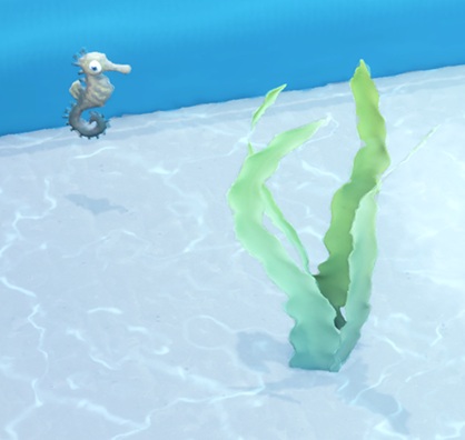 Een geelbruin Zeepaardje zwemt linksboven van een Aquariumplant met lange, fijne bladeren.