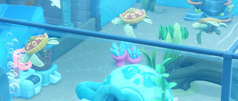 Drie Hermit Turtles zwemmen op een rij. Op hun schild staan opvallende pijlen afgebeeld; het schild is met een riem aan de buik van de Schildpadden vastgemaakt.