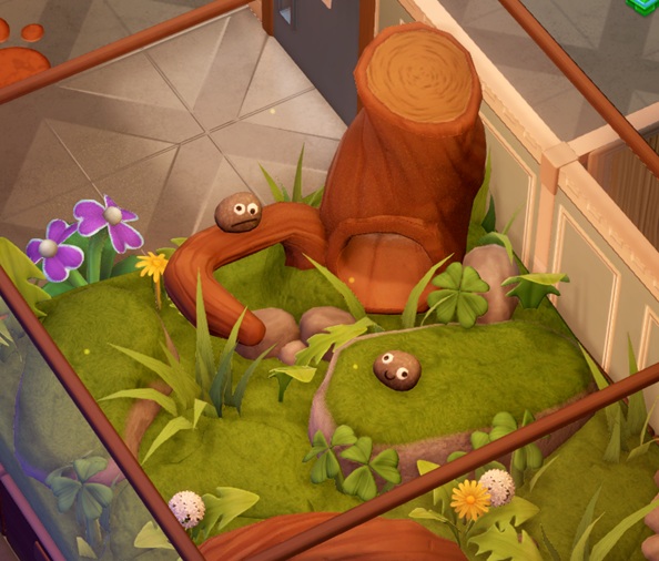 Een Terrarium met twee Pet Rocks: keien met gezichtjes erop. Het Terrarium heeft een Grasland-milieu.