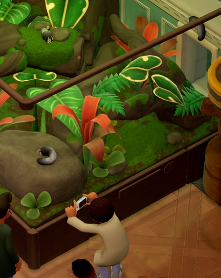 In een Terrarium zijn drie Silverback Monobeasts te zien. Eén zit linksonderaan op een steen, een andere zit linksbovenaan op een bemoste holle boomstronk en een derde plakt rechtsbovenaan tegen het Terrariumglas. De Silverback linksonder wordt gefotografeerd door een Bezoeker.