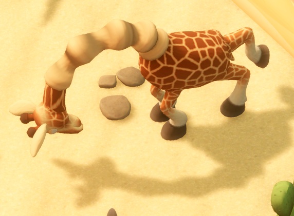 Een Spyglass Giraffe, met uitgerokken 'accordeon-nek', stampt met zijn rechter achterpoot.