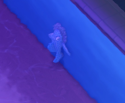 Een Wet Wiper tegen de Aquariumwand, die hij 'schoonmaakt' door middel van een enorme 'borstel' aan de mond. De afbeelding is enigszins vervormd omdat de schermfoto van boven het wateroppervlak werd genomen.